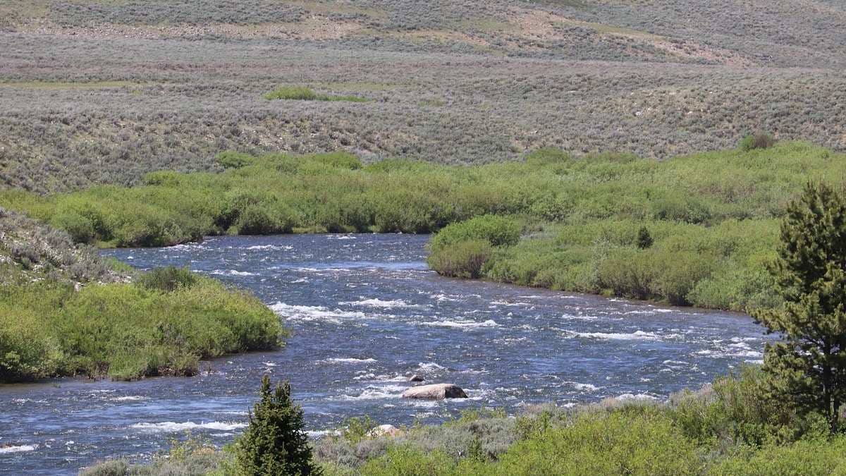 Señalan la contaminación del Río Bravo con aguas negras se ha ido incrementando